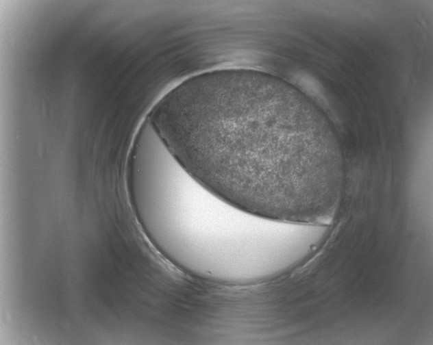 X0000064721284200602131215