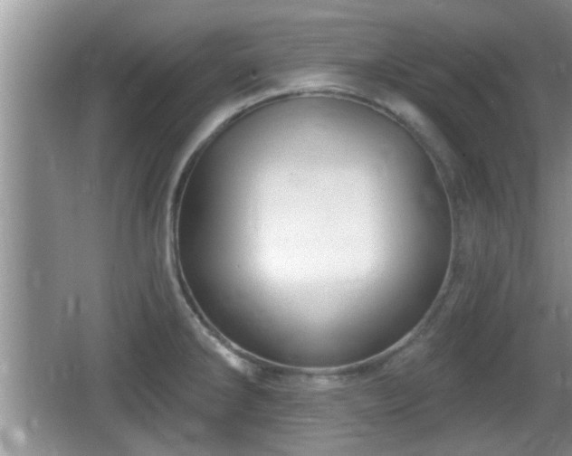 X0000064721286200602131215