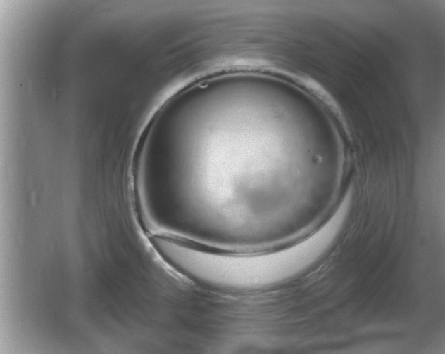 X0000064721287200602131215