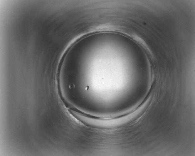 X0000064721288200602131215