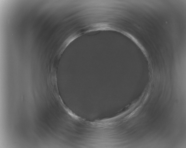 X0000064721289200602131215