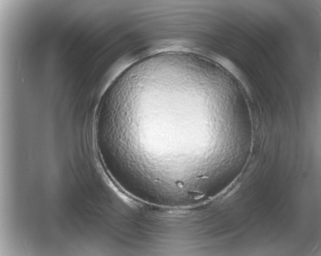 X0000064721290200602131215