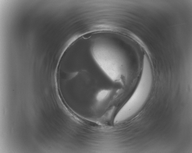 X0000064721291200602131215