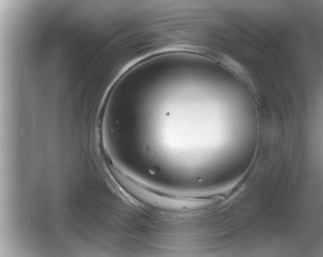 X0000064721292200602131215