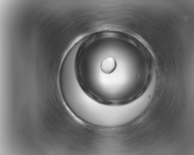 X0000064721293200602131214