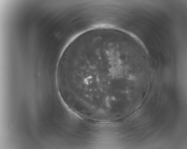 X0000064721295200602131214