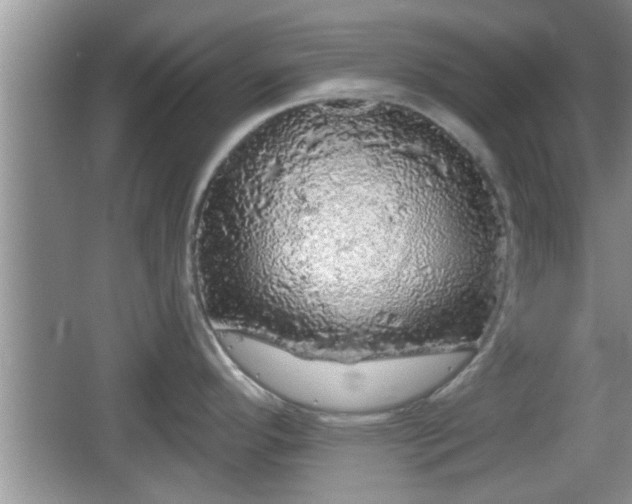 X0000064721296200602131214