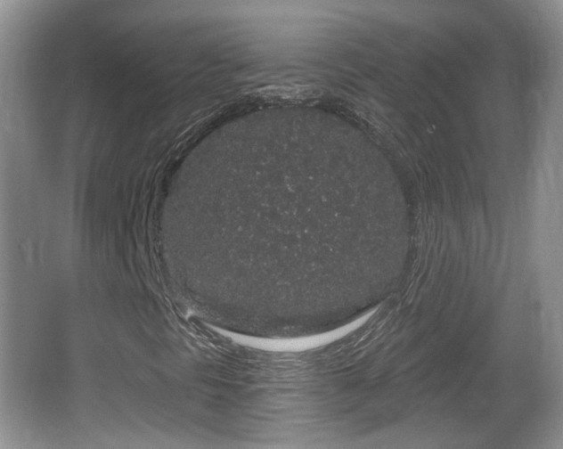 X0000064721297200602131214