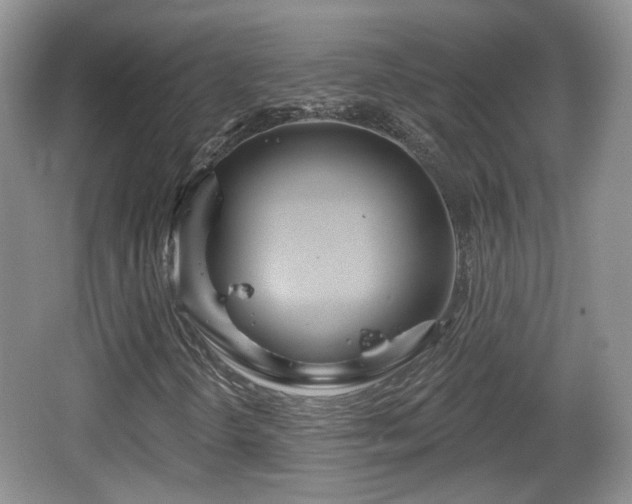 X0000064721298200602131214