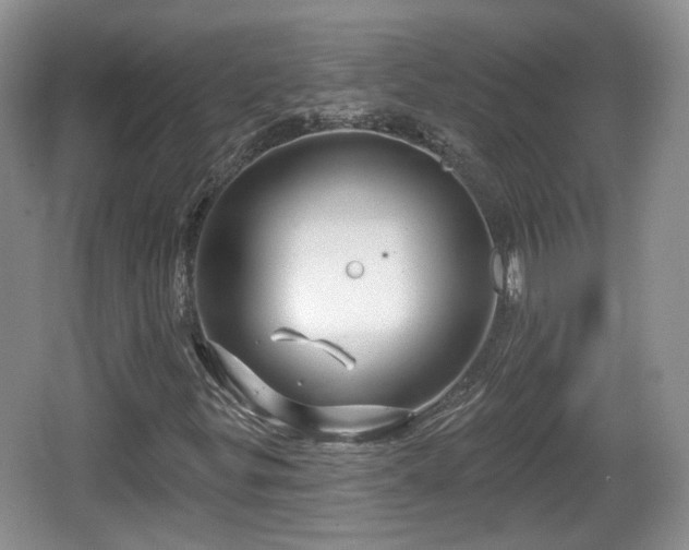 X0000064721299200602131214