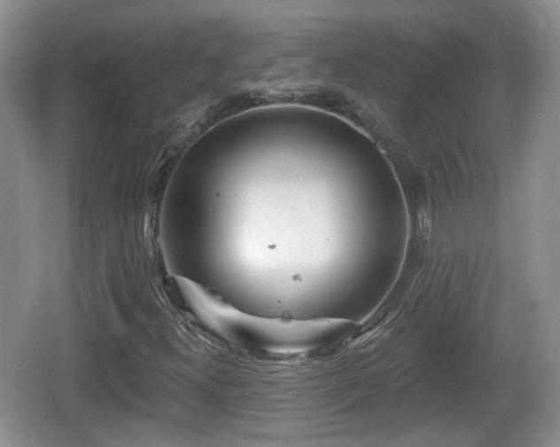 X0000064721300200602131214