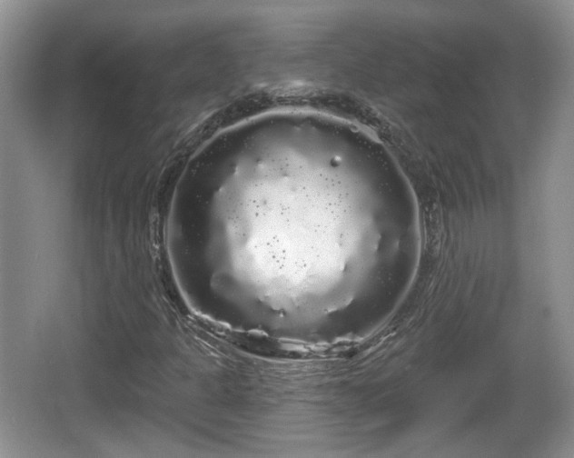 X0000064721301200602131214