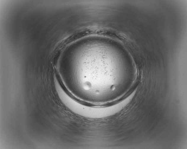 X0000064721302200602131214