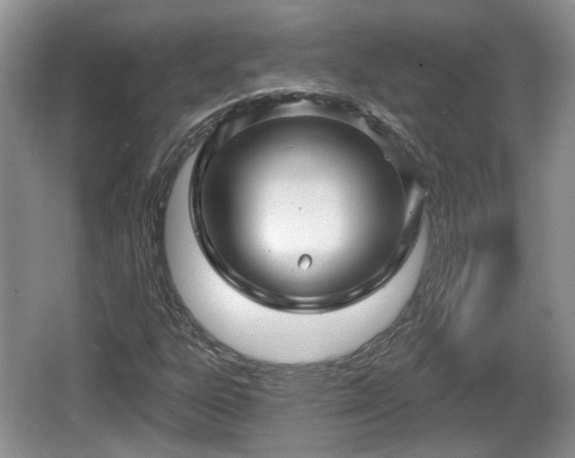 X0000064721303200602131214