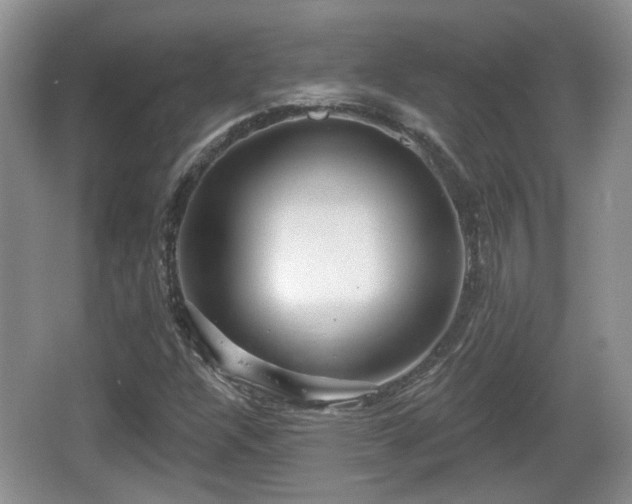 X0000064721304200602131214