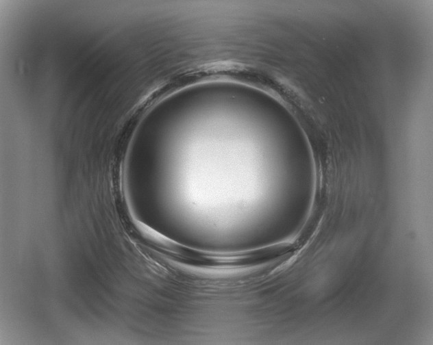 X0000064721305200602131214