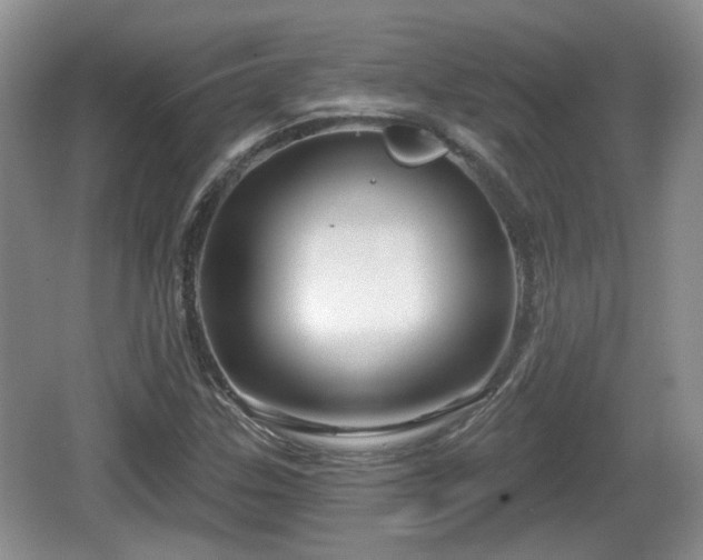 X0000064721307200602131214