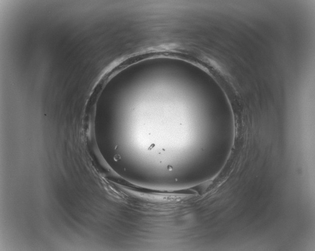 X0000064721308200602131214