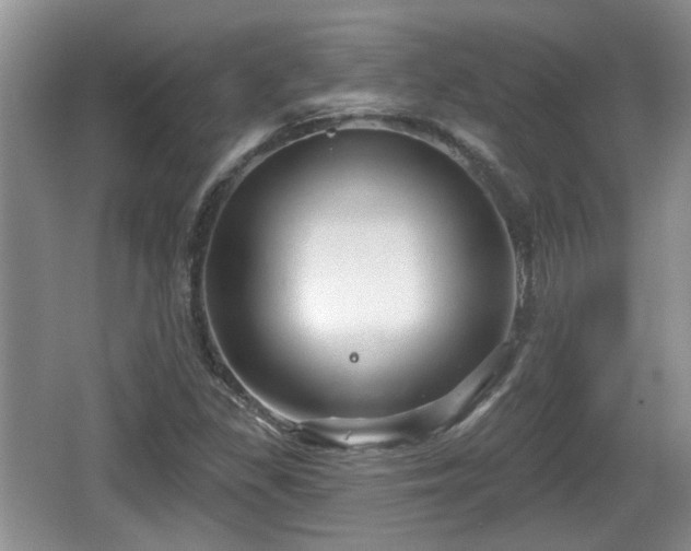 X0000064721309200602131214