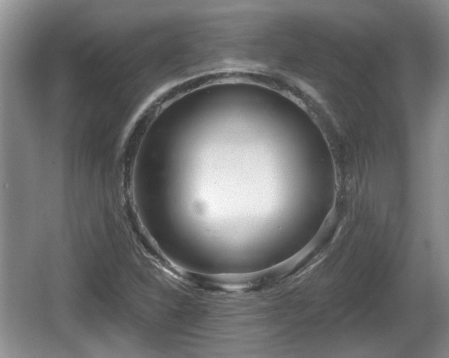 X0000064721310200602131214