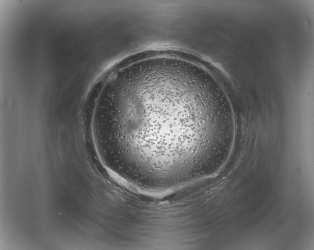 X0000064721311200602131214