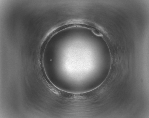 X0000064721312200602131214