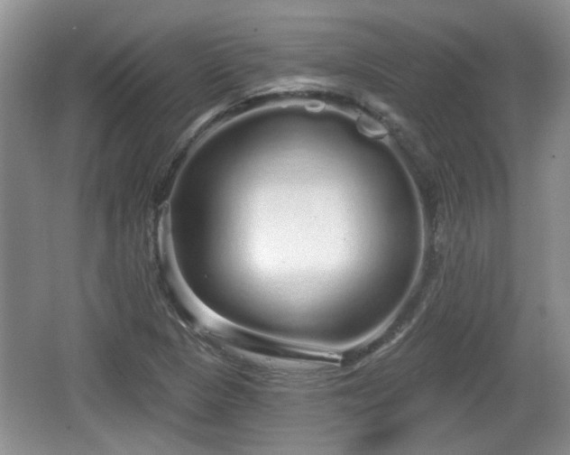 X0000064721313200602131214