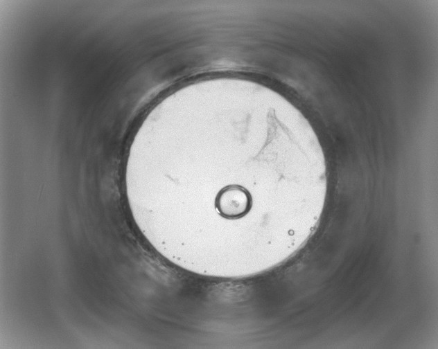 X0000064721314200602131214