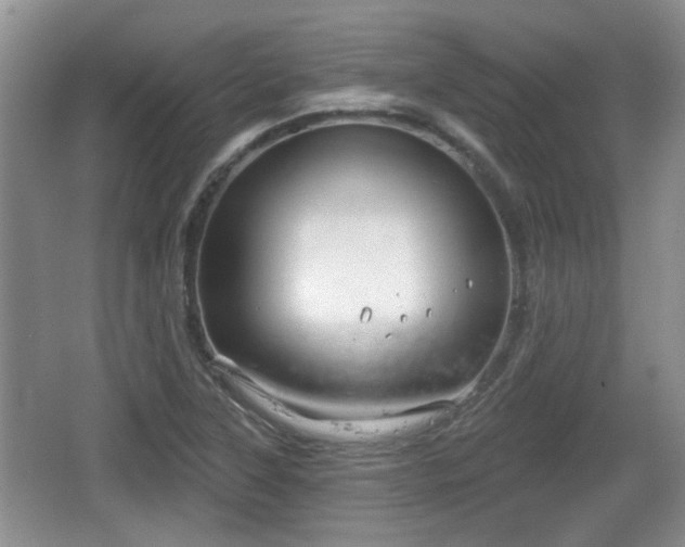 X0000064721315200602131214