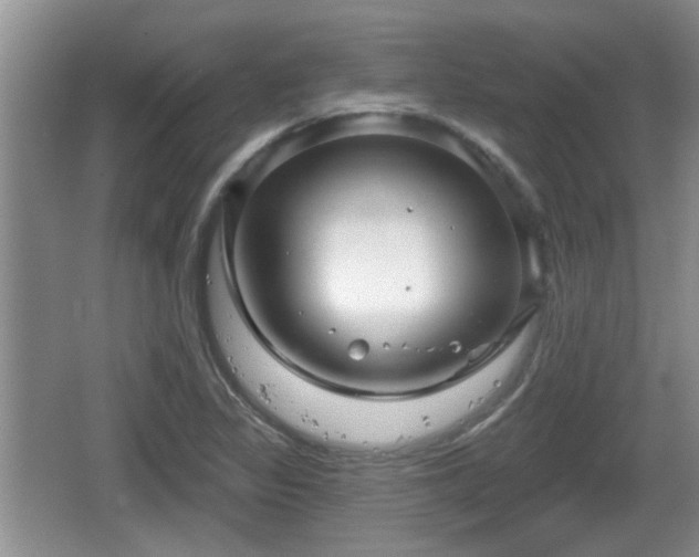 X0000064721317200602131214