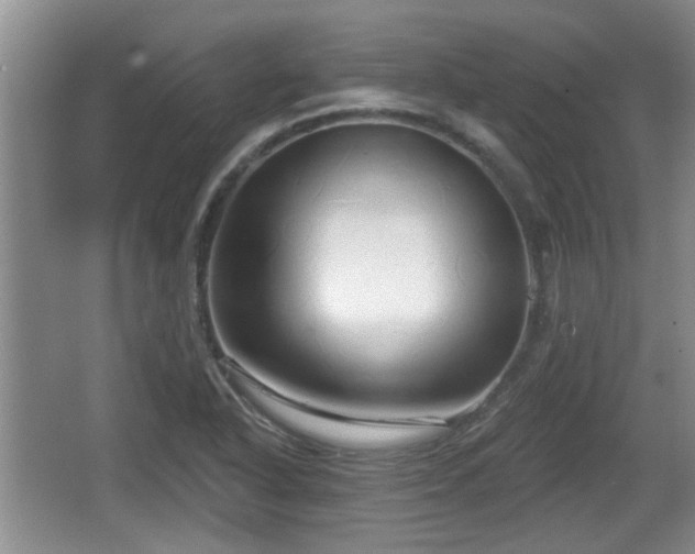 X0000064721318200602131214