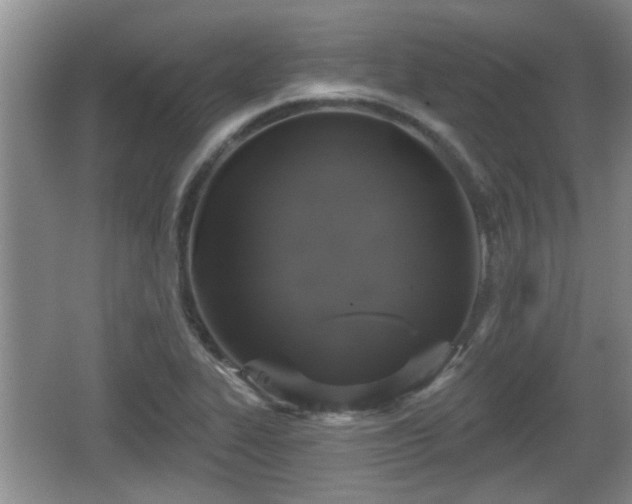 X0000064721319200602131214