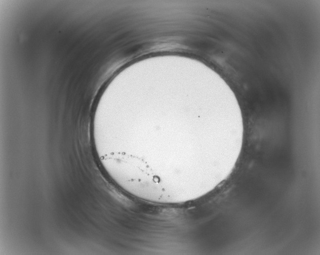 X0000064721322200602131214