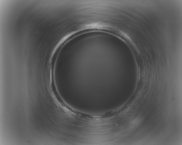 X0000064721323200602131214