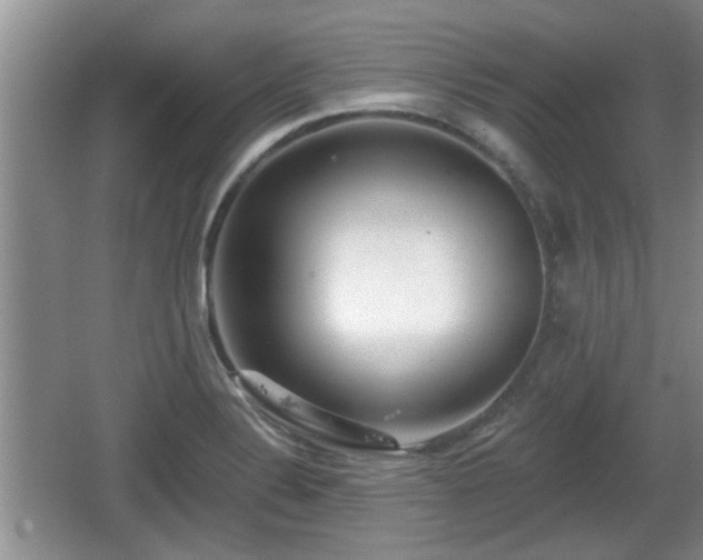 X0000064721324200602131214