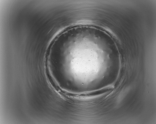 X0000064721325200602131214