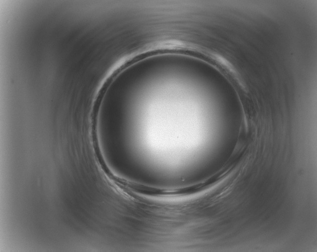 X0000064721326200602131214