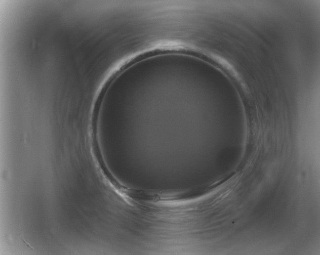 X0000064721327200602131214