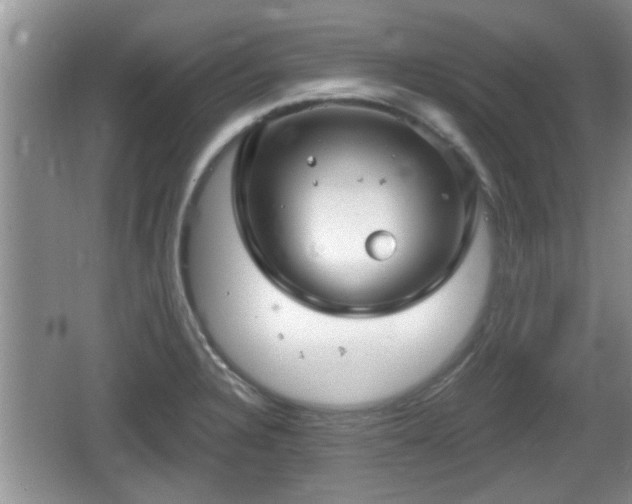 X0000064721328200602131214