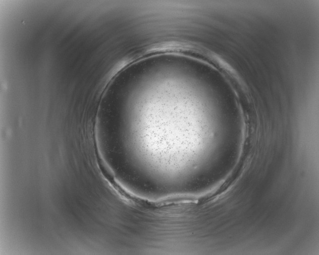 X0000064721329200602131214