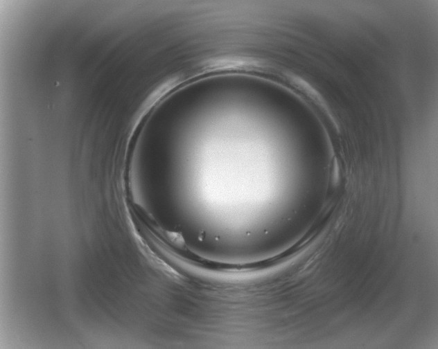 X0000064721330200602131214