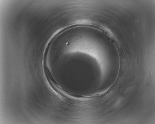 X0000064721331200602131214