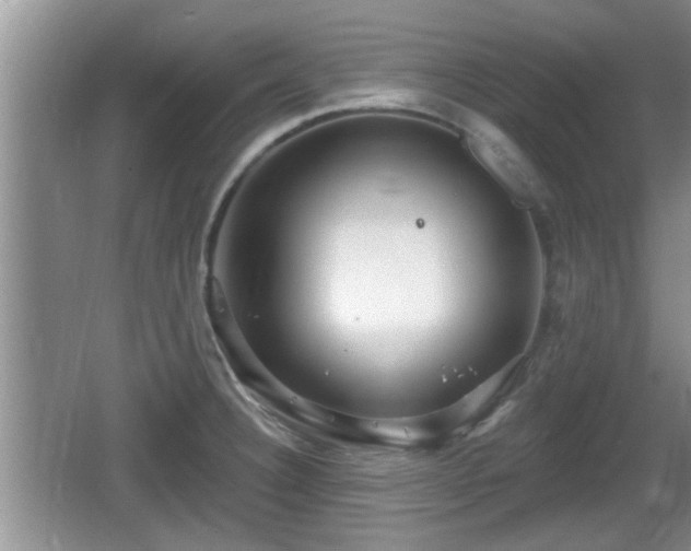 X0000064721332200602131214