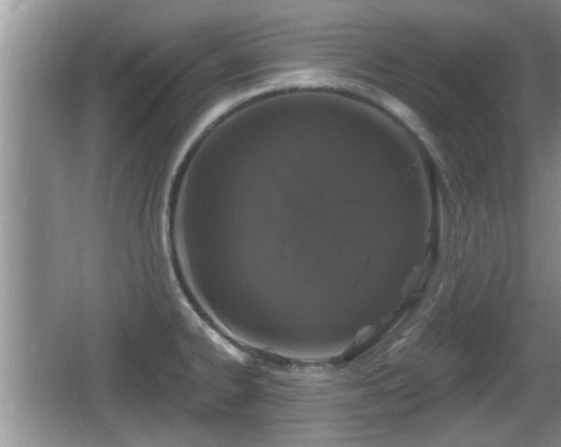 X0000064721334200602131214