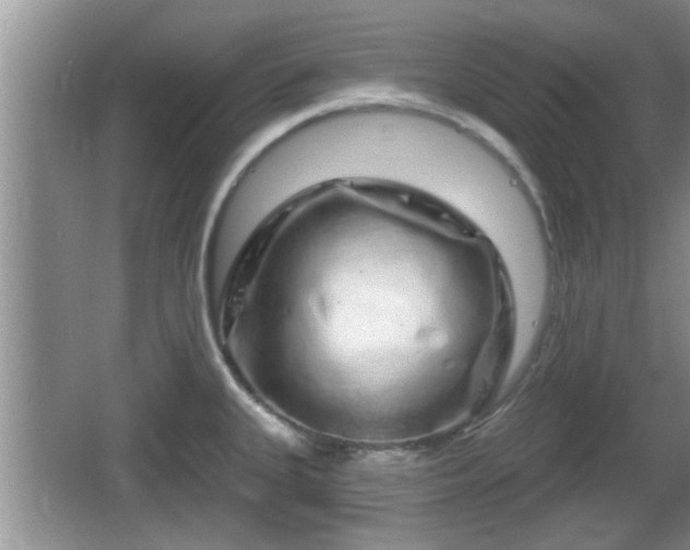 X0000064721335200602131214