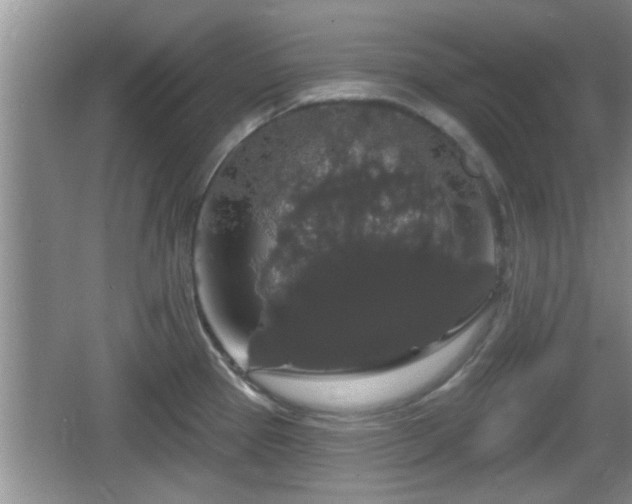 X0000064721337200602131214