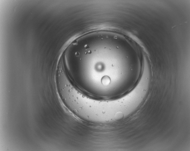 X0000064721338200602131214