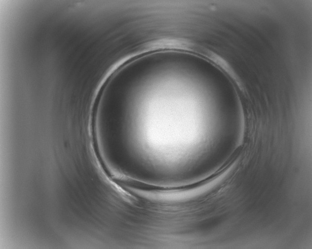 X0000064721339200602131214