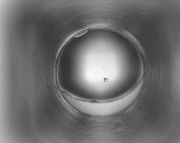 X0000064721340200602131214