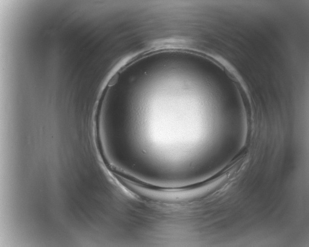 X0000064721341200602131214